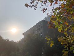 -望江楼公园