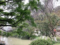 -江心屿景区