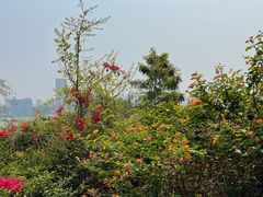 -潮福城大酒楼·潮味粤品·港式点心(湖滨北路店)