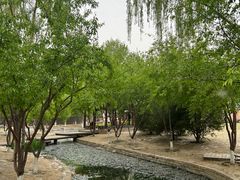 -春风习习