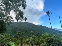 -海南热带雨林国家公园吊罗山景区