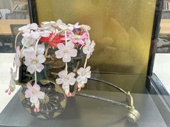 -日本大使馆-新闻文化中心