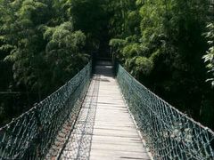 android_upload_pic-众神白水涧景区