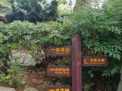 -白沙古井