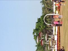 -万绿园