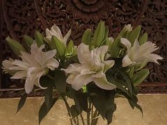 -心足私家足疗SPA(深圳湾店)