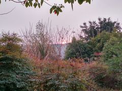 -四川大学(江安校区)