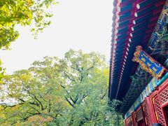 -香山公园