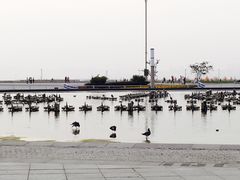 -东港音乐喷泉广场