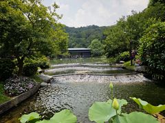 -云溪植物园