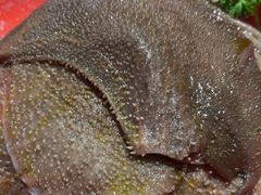 -二荆条·蜀鲜汇城市森林火锅