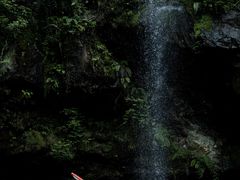 -龙苍沟森林公园