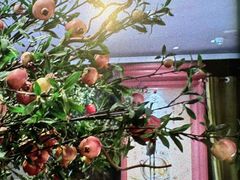 -八府香鸭·啫啫煲(华山路店)