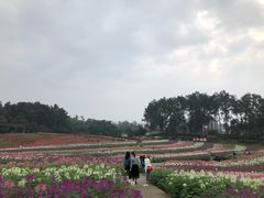 -保利石象湖景区