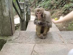 -黔灵山公园-南门售票处