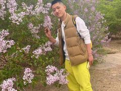 -十三陵水库