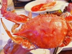 -半岛听涛蒸汽海鲜自助(K11店)