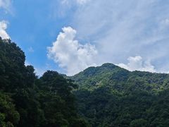 -花岩国家森林公园