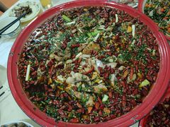 -东吴霸王兔(松青路店)