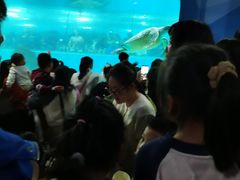 -苏州海洋馆