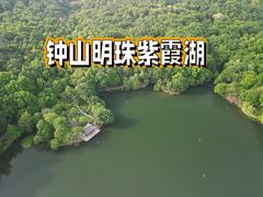 -紫霞湖公园