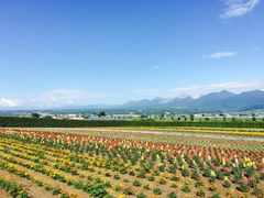 -富田农场