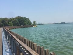 -东湖落雁景区