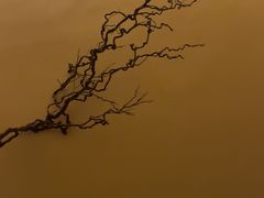 -静耳元気采耳·按摩·SPA(万象前海店)