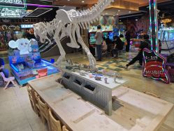 -卡通尼·Safari非洲探索乐园·生日会(金桥国际商业广场店)