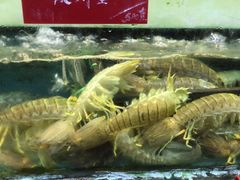 -旺富东海大酒楼(海鲜街店)