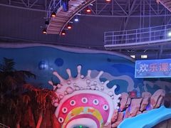 -烟台海昌鲸鲨海洋公园