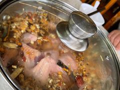 药膳乳鸽-百利鸽王(紫薇路店)