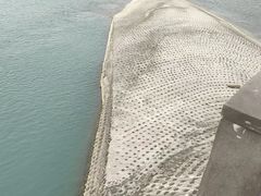 -老号尤兔头(幸福店)