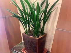 -旺顺阁海鲜广场(亚运村店)