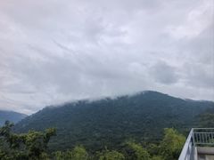 -呀诺达热带雨林