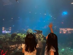 -涛·海底餐厅·美人鱼·自助餐·海底隧道(三亚海棠湾洲际度假酒店)