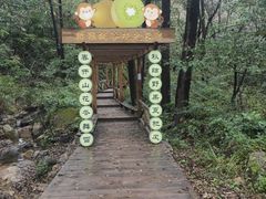 -大岭沟猕猴桃谷风景区