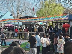 -富斯特索道