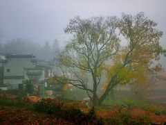 -塔川景区