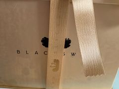 -BLACKSWAN黑天鹅(环球店)
