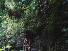 -西岭雪山大飞水景区