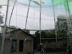 -合肥野生动物园
