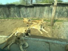 -北京野生动物园