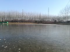 -仁和公园(顺义区)