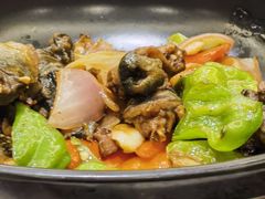 红烧甲鱼-沪华海鲜大酒楼(南汇店)