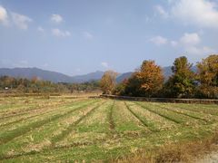 -塔川景区