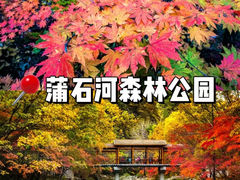 -关门山森林公园