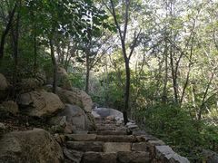 -大岭沟猕猴桃谷风景区