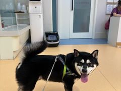 -全心全意动物诊疗中心医院(北苑店)