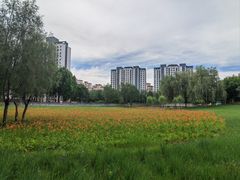 -固安志愿公园